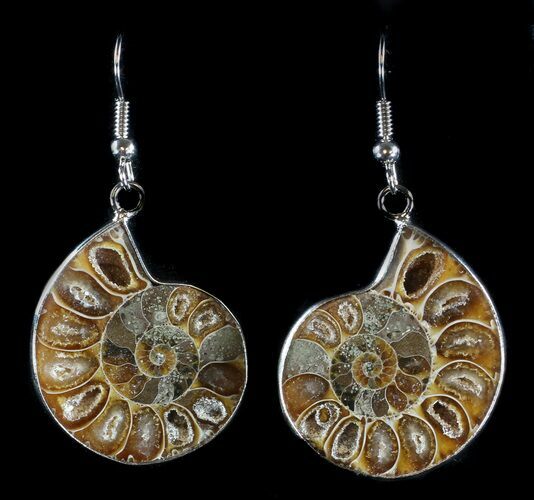 Fossil Ammonite Earrings - Million Years Old #35841